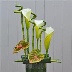 Arum Lily and Lucky Bamboo