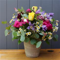 Classic Colourful Summer Pot