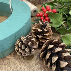 Wreath Kit