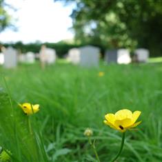 Grave Tending Service
