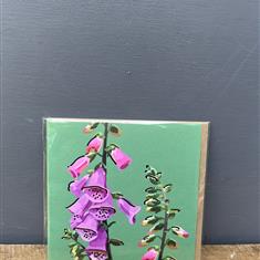 PLAIN CARDS SF41