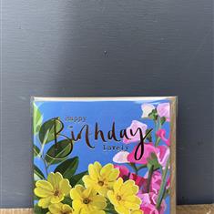 HAPPY BIRTHDAY SF04
